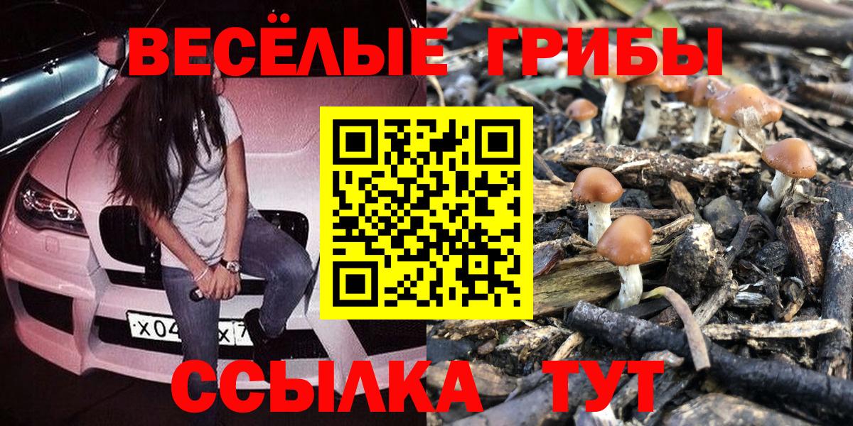 Псилоцибиновые грибы Psilocybe Озёрск